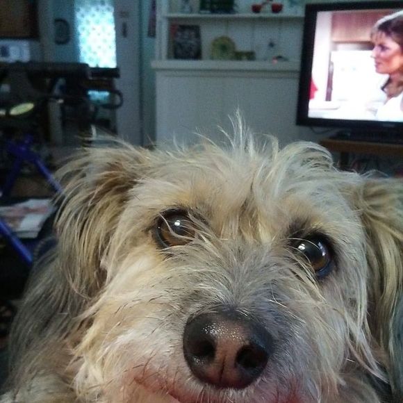 Meet your Posher, Nancy - Picture 1 of 1